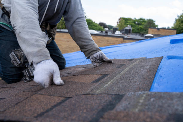 Best Roof Maintenance Services  in Raven, VA