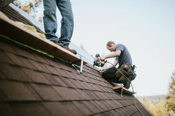 Best Roof Gutter Cleaning  in Raven, VA